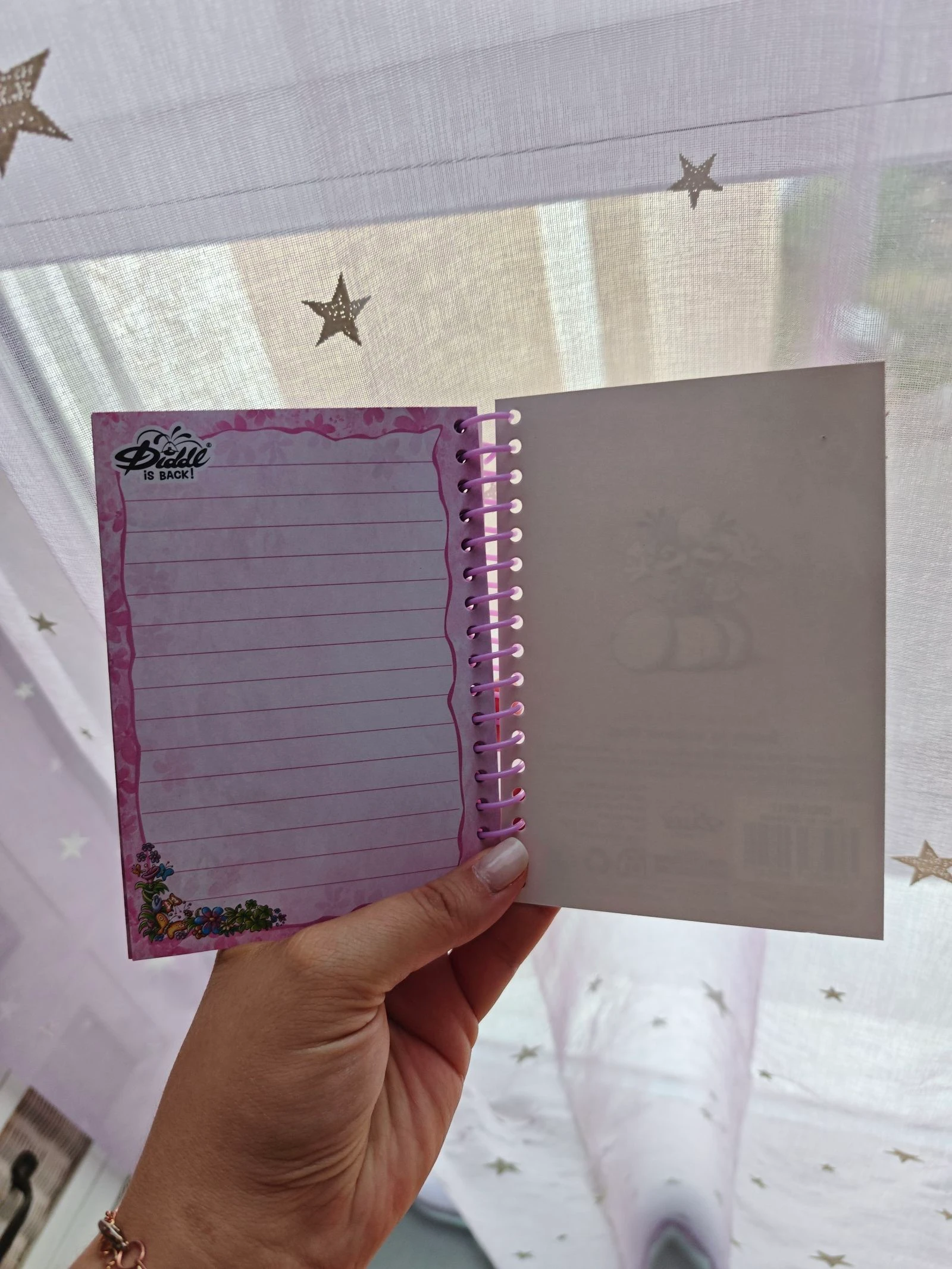 Petit cahier carnet Diddl is Back Diddlina Danseuse France A6 – photo 8